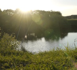 The Trent Back of the Teabag Swim