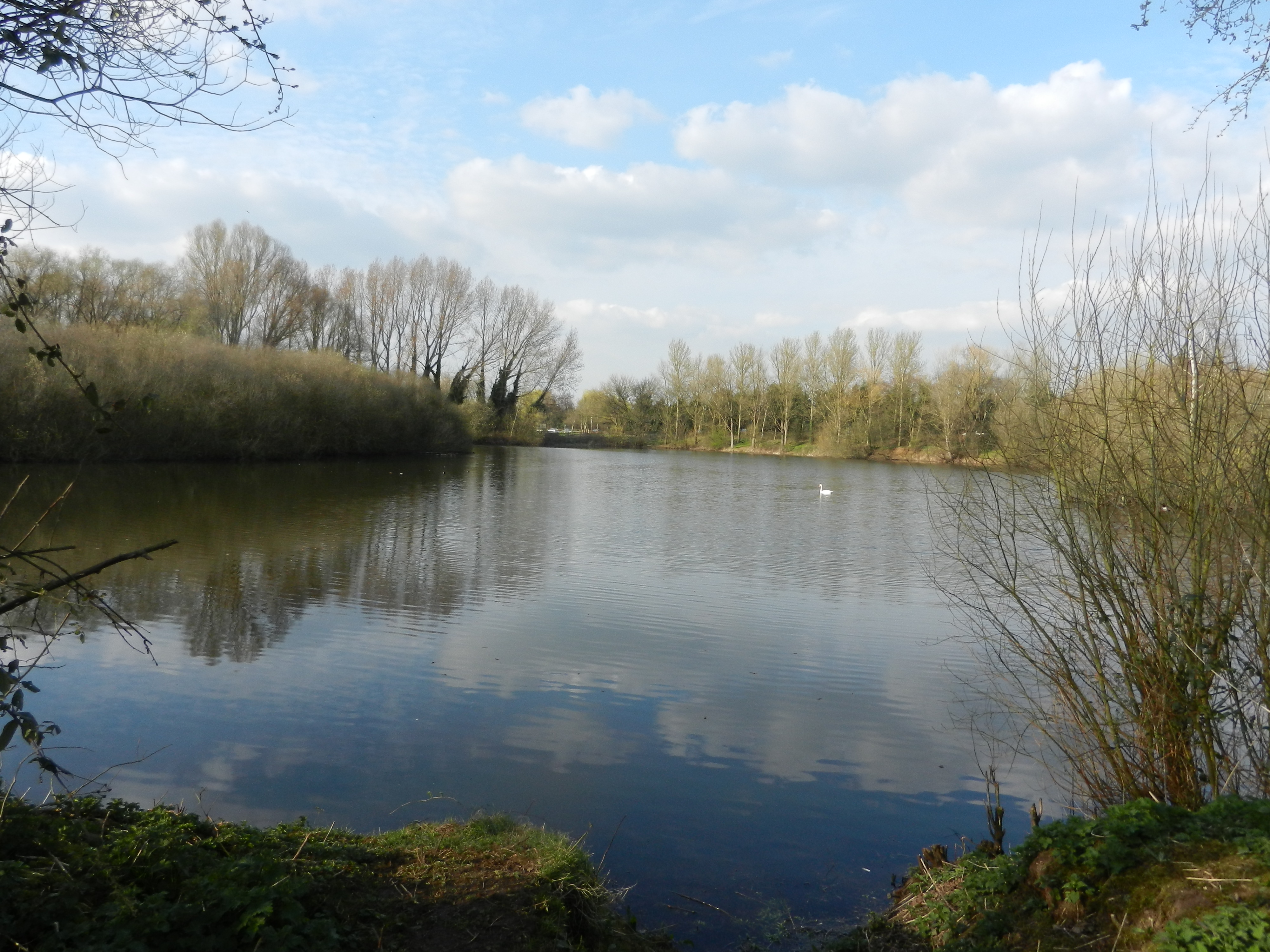 Bingham Pond